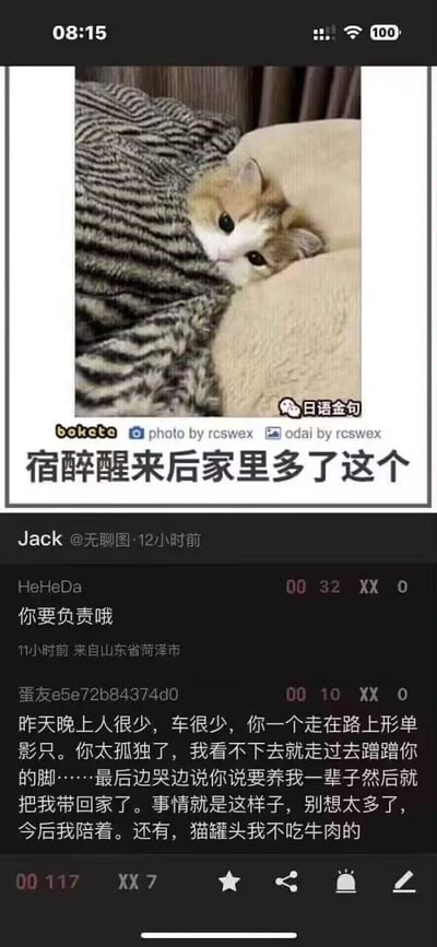 图片为社交媒体截图，主体是一张裹在条纹毯子里的橘白猫咪探头照，眼神无辜呆萌。上方文字标注“宿醉醒来后家里多了这个”，下方是用户Jack 12小时前发布的动态，配文“你要负责哦”，以及一位蛋友的幽默回复：“昨天晚上人很少…最后边哭边说你要养我一辈子然后就把我带回家了…猫罐头我不吃牛肉的”。整体营造出搞笑又温馨的氛围，以猫咪视角调侃宿醉后“捡”到猫的趣事。