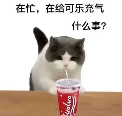 这是一张经过P图改编的搞笑文字加注表情包，画面主体是一只灰白相间的拟人化猫咪，它双爪搭在木质桌面上，用吸管对着面前的红色可乐杯吹气，表情平淡。图中配文“在忙，在给可乐充气 什么事？”，用完全无厘头、不符合现实逻辑的理由来回应他人的打扰，制造出荒诞搞笑的效果，常用于日常聊天或职场场景中，表达不想被打扰、想要摸鱼的心态。杯子正面印有“kuoluo”的水印文字。