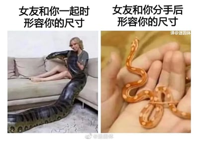 这是一张对比类的梗图，分为左右两部分。左边用巨大蟒蛇形容“和女友在一起时你在对方口中的尺寸”，右边配合一条小蛇，表示“分手后被形容的尺寸”。通过动物体型隐喻情侣分手前后评价的巨大反差，含有明显的暗示与双关梗，整体调侃又带少许羞涩气氛。