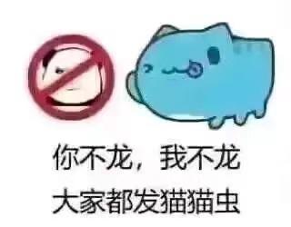 这是一张结合反内卷话题的搞笑梗图，左侧是带有红圈斜杠禁止标识的抽象龙图卡通角色，右侧是蓝色的猫猫虫卡通形象，下方配文“你不龙，我不龙，大家都发猫猫虫”。图中使用了谐音梗，“龙”谐音“卷”，指代“内卷”，表达了大家拒绝内卷、想要通过发猫猫虫表情包来放松摸鱼的心情。