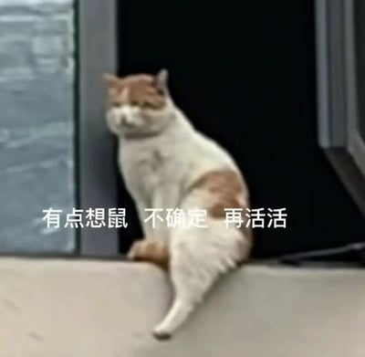 一只橘白相间的猫咪正坐在窗边，身体微微前倾，眼神半眯，表情看起来有些慵懒又带点无奈。图片下方叠加了一行白色文字：'有点想鼠 不确定 再活活'，用谐音梗'鼠'（谐音'死'）幽默地表达了当代人偶尔摆烂却又继续坚持的矛盾心态。