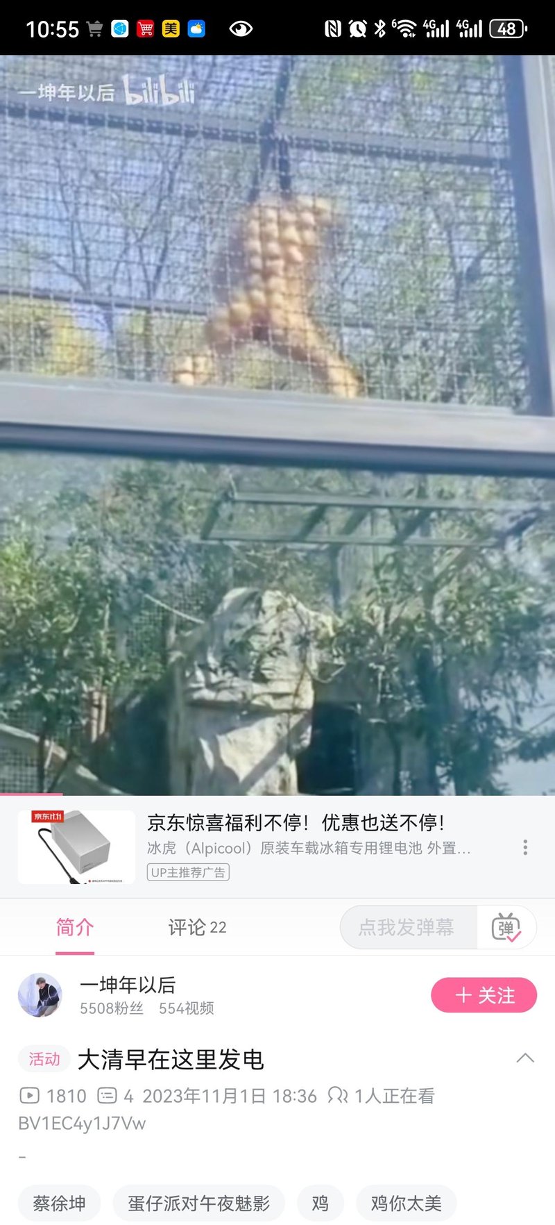 猴子