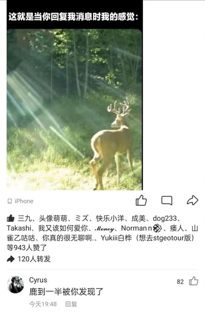这是一张微博平台的梗图截图，上方配文「这就是当你回复我消息时我的感觉:」，配图是一只站在林间阳光里的鹿，阳光光束从鹿的身体周边穿过，视觉上仿佛鹿在发光，用来比喻收到对方消息回复时的心动、小鹿乱撞的甜蜜心情。下方热门评论「鹿到一半被你发现了」玩了谐音双关，将「鹿」与「露（馅）」「路（半路）」结合，调侃这种心动的情绪被戳穿的羞涩感。

梗点解析：利用「小鹿乱撞」的成语指代心动，同时用鹿的照片+阳光光束营造出发光的心动感，评论的谐音梗进一步强化了搞笑又羞涩的氛围。