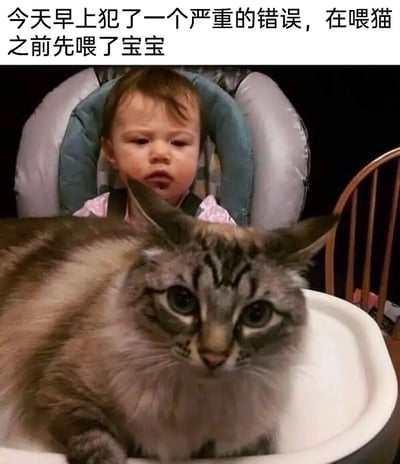 图片上方配有文字“今天早上犯了一个严重的错误，在喂猫之前先喂了宝宝”，下方是一张照片：一个婴儿坐在高脚椅上，表情略显困惑，面前有一只表情严肃的猫。通过幽默的方式调侃了宠物在家庭中的地位，制造出一种“本末倒置”的喜剧效果。