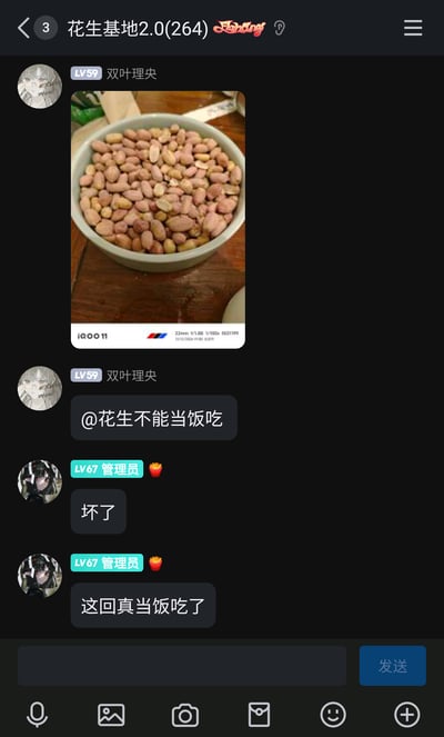 这是一张竖屏的即时通讯群聊截图，群名称为“花生基地2.0”，群成员数量为264人。群成员“双叶理央（LV59）”先发送了一张用iQOO 11手机拍摄的、装满花生的白碗实拍图，随后发送消息@群成员“花生不能当饭吃”；群管理员（LV67）看到后，接连发送“坏了”“这回真当饭吃了”两条文字消息，巧妙地结合被@成员的昵称和发送的花生图片玩梗，营造出轻松搞笑的群聊氛围，群聊界面为深色模式，底部有消息输入栏和功能按钮。