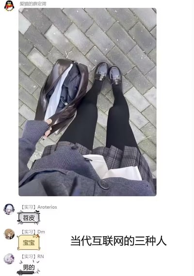 这是一张QQ空间的自制梗图，上方是一位穿着JK风格穿搭（灰色针织开衫、格纹百褶裙、黑色裤袜、乐福鞋）的用户自拍，人物正拿着打开的包；下方是三条评论，分别标注「苕皮」「宝宝」「男的」，搭配主文案「当代互联网的三种人」，调侃互联网语境下网友对这类穿搭人群的不同称呼，用幽默的方式展现互联网上的多元称呼文化。