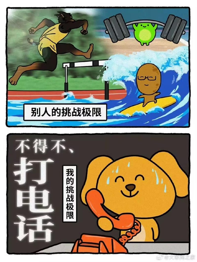大笨狗之家