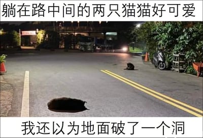 这是一张利用视觉错觉制造笑点的图文梗图，画面呈现的是夜晚的户外道路场景，路面为深色，两只纯黑色的猫咪分别趴在路中间和路边。上方配文“躺在路中间的两只猫猫好可爱”点明主体，下方配文“我还以为地面破了一个洞”则点出笑点——由于路中间的黑猫颜色和路面接近，加上夜晚光线较暗，第一眼看上去很像是地面破了一个凹陷的洞，形成了有趣的视觉错位，让人产生误解，反应过来后会觉得十分滑稽，凸显了猫咪和场景结合带来的趣味效果。