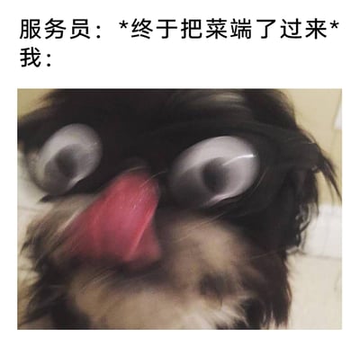 这是一张搞笑图文表情包，通过上方文字构建出餐厅等菜的日常场景：服务员终于将菜品端上桌，下方搭配一张动态模糊的宠物狗狗照片，狗狗眼睛圆睁、舌头大张，面部的模糊效果放大了它急切兴奋的状态，精准地还原出人们饿到极致、等待美食时迫不及待的心情，用宠物的夸张神态来共情大众的日常体验，充满趣味与共鸣感。