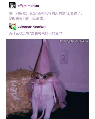 这是一张图文混排的搞笑梗图，上方呈现了两条社交平台风格的用户对话：用户effemimaniac用谐音化的可爱说法“森你气气的人的岛”（对应“让你生气的人的岛”）安慰对方，而头像是《我的英雄学院》爆豪胜己的用户bakugou-kacchan，抓住对话里的谐音漏洞反问“为什么你会在'森我气气的人的岛'”，形成无厘头的搞笑逻辑；下方是一张戴着粉色尖顶帽的小猫照片，小猫眼神委屈、神态可怜巴巴，完美呼应了对话里的“别哭啦”，让整个梗图兼具可爱感与趣味性，右下角带有水印“微博@野猪川苦茶”。
