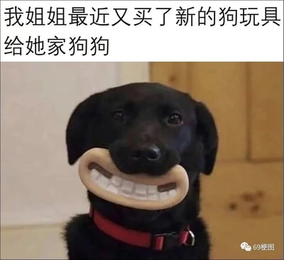 这是一张搞笑宠物实拍图，上方配文“我姐姐最近又买了新的狗玩具给她家狗狗”，图中的黑色狗狗佩戴着一个模仿人类咧嘴笑的嘴部玩具，玩具的造型与狗狗本身的神态形成强烈反差，让狗狗看起来像是长了一副滑稽的人类牙齿嘴巴，整体画面十分搞笑，充满趣味，展现了宠物玩具的奇葩创意。