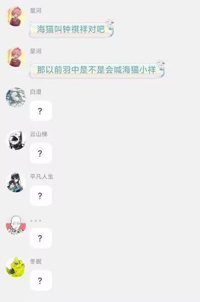 这是一张竖屏的群聊聊天记录截图，用户「星河」先发消息确认「海猫叫钟祺祥对吧」，接着又提出疑问「那以前羽中是不是会喊海猫小祥」，随后群内多名成员仅回复问号，表现出对该内容的疑惑与不解。
关于图中的问题：海猫络合物的本名确实是钟祺祥，他是《明日方舟》的主策划，羽中是《明日方舟》开发商鹰角网络的创始人，二者同属鹰角网络，但目前没有公开信息证实羽中会称呼海猫为「小祥」，该说法大概率是群内的玩笑或猜测。