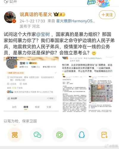 这是一张由多条微博截图拼接而成的内容，2024年1月22日，微博用户「说真话的毛星火」发布微博，质疑作家@宝树 提出的「国家是暴力组织」相关观点，列举了守护边境的人民子弟兵、地震救灾人员、疫情一线公务员的例子，反问对方是否具备独立思考能力；图中同时包含了宝树的回应微博，指责对方不懂马克思主义基本政治常识，一边喊打喊杀一边呼唤善良，并附上词典截图来佐证自己的观点，双方在微博平台展开了公开的观点争论。
