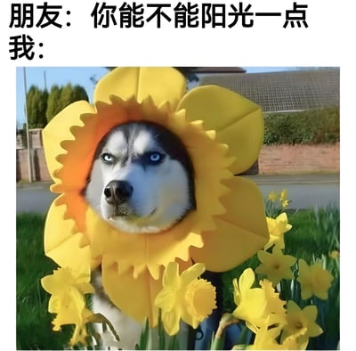 图片上方文字为“朋友：你能不能阳光一点 我：”，下方是一只哈士奇戴着巨大的黄色向日葵花型头饰，眼神冷峻地站在花丛中。通过文字与图像的反差制造笑点——朋友希望“阳光”（积极乐观），而“我”则用向日葵造型字面回应，但表情依旧严肃，形成幽默效果。