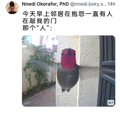 这是一张来自Bluesky平台的社交媒体截图，用户Nnedi Okorafor分享了生活中的趣味小事：邻居向她投诉一直有人敲她的门，而实际“敲门”的是一只红喉蜂鸟。配图为监控拍摄到的画面，这只红喉蜂鸟悬停在门边，鲜红色的喉部十分显眼，翅膀因快速扇动而模糊，看起来仿佛是在“敲门”，反差感拉满，充满了诙谐的氛围。