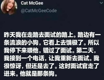 这是一张社交媒体截图，内容为用户Cat McGee分享的幽默故事：作者在去面试的路上因喂食饥饿的流浪狗而错过面试，第二天接到重新面试的电话，到达后发现面试官竟是那条狗。故事以意想不到的反转结局带来搞笑效果。