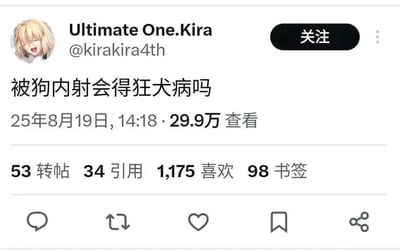 社交媒体用户Ultimate One.Kira（@kirakira4th）发布的一条帖子截图，内容为“被狗内射会得狂犬病吗”，发布时间显示为25年8月19日14:18，查看量达29.9万，互动数据包括53转帖、34引用、1175喜欢和98书签。头像为金发卡通人物形象，右上角有关注按钮。