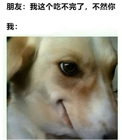 这张梗图通过文字与图片结合，幽默展现了朋友吃不完东西时自己的反应。上方文字显示朋友说“我这个吃不完了，不然你”，下方“我：”之后是一张狗的特写照片，狗狗眼神专注地看向一侧，表情似乎透露出期待和渴望，生动形象地表达了自己准备接受朋友剩下食物的急切心情。