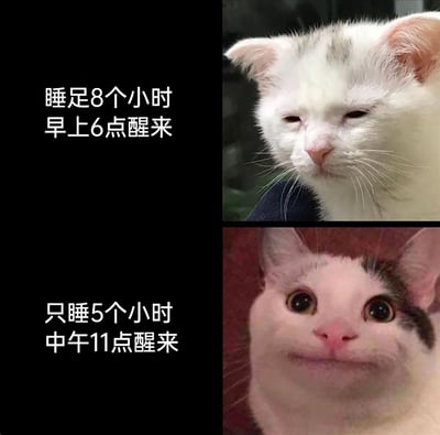 这是一张上下分栏的对比图，通过两只猫咪的不同表情，生动展现了两种睡眠状态下的反差：上半部分是睡足8个小时但早上6点醒来的状态，对应猫咪眼皮耷拉、神情萎靡，一脸没睡醒的疲惫；下半部分是只睡5个小时但中午11点醒来的状态，对应猫咪眼睛圆睁、眼神亢奋，充满精神。精准吐槽了很多人明明睡够时长但早起就无精打采，睡眠时长不足但晚起反而状态亢奋的真实日常作息体验，引发大众共鸣。