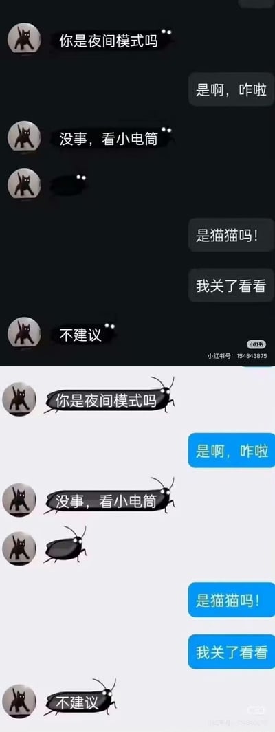 这是一张上下分栏的聊天记录式梗图，利用夜间模式的视觉差制造恶作剧：
上半部分为深色夜间模式界面，使用黑猫头像的用户先询问对方是否开启夜间模式，接着发送一个仅显示两个白点的黑色图案，谎称是“小电筒”，对方误以为是猫猫黑影，提出要关闭夜间模式查看，用户回复“不建议”；
下半部分为关闭夜间模式后的浅色界面，原来的黑色图案露出了蟑螂的全貌，对话气泡也变成了蟑螂的形状，瞬间揭晓“不建议”的原因，通过猫猫与蟑螂的巨大反差，制造出搞笑的整蛊效果。