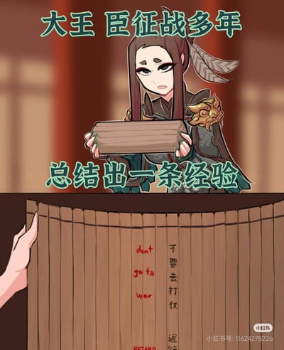 这是一张竖屏卡通风格的搞笑梗图，分为上下两个部分。上半部分是一位身着铠甲、表情疲惫无奈的原创女将军形象，双手捧着空白木牍，配文“大王 臣征战多年”“总结出一条经验”，营造出庄重的上奏氛围；下半部分是展开的竹简，上面写着反差感拉满的核心内容“不要去打仗”，同时配有英文翻译“dont go to war”，右下角还有“迟钝”及英文“RETARD”的字样。整体用古代上奏的严肃场景，搭配直白搞笑的反战经验，通过强烈的反差感制造幽默效果，表达了对征战的抵触和无奈情绪。