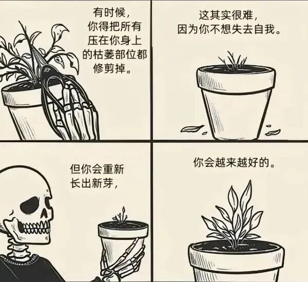 骷髅