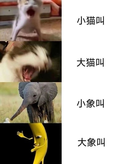 图片为四格竖版拼接，左侧依次为四张动物图片，右侧对应文字标签。第一格：一只张嘴大叫的小猫，配文“小猫叫”；第二格：一只张嘴咆哮的大猫（疑似老虎），配文“大猫叫”；第三格：一只在草地上的小象，配文“小象叫”；第四格：一个黄色卡通形象（类似大象）夸张地张嘴，配文“大象叫”。通过小动物与大动物叫声的视觉对比制造幽默效果，最后一格的卡通形象进一步放大了夸张感。