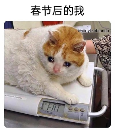 这是一张调侃春节发胖现象的搞笑表情包，图片顶部配有文字“春节后的我”，主体是一只白橘相间的猫咪委屈地趴在电子秤上，猫咪眼神低落湿润，看起来十分沮丧。电子秤的显示屏被修改为显示英文单词“FAT”（意为肥胖），拟人化地表现出人们在春节期间胡吃海喝后，称体重发现自己发胖时的愧疚、无奈与难过的心情，精准戳中了很多人的春节后体重焦虑，在社交平台上被广泛用来表达这类情绪。