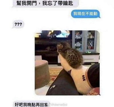 这是一张结合聊天记录与视觉错位照片的搞笑梗图。图中上方是模拟的三段对话：一方发消息称自己忘带钥匙，请求帮忙开门，另一方回复自己现在不能动，发送方发出疑惑的“？？？”，随后对方发出一张视觉错位的照片——一只小猫咪趴在人的手臂上，因拍摄角度问题看起来像是猫咪“坐在”手臂形成的“平台”上，营造出主人被猫咪“封印”无法起身开门的假象。最后忘带钥匙的人无奈回复“好吧我晚点再回家”。整体用可爱的宠物日常和有趣的错位效果，制造出温馨又搞笑的氛围，精准调侃了铲屎官被宠物“限制行动”的真实日常。