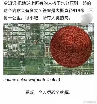 这是一张图文混排的趣味科普梗图，顶部首先介绍了一则冷知识，称将地球上所有人类去除水分后压实成肉球，总直径仅约919米，不足一公里；中间配图为城市区域的卫星航拍俯视图，在图的右侧叠加了一个模拟的红色肉球，直观展示该肉球和城市区域的大小对比，让读者对919米的尺度有更清晰的认知；图下方标注内容来源未知，引自4ch，最底部配文“看呀，全人类的全家福。”，用调侃的语气强化了这则冷知识的冲击力，增添了趣味感。
