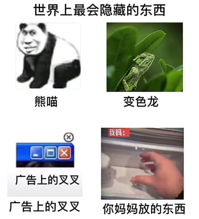 这是一张四格对比图，标题为"世界上最会隐藏的东西"。图片通过幽默对比展示了四种难以找到的事物：左上角是黑白配色的熊猫，右上角是趴在绿叶上的变色龙，左下角是广告窗口的关闭按钮，右下角是一只手在冰箱中寻找妈妈存放的物品。通过动物的自然伪装能力与日常生活中常见的寻找困难场景进行类比，创造出幽默效果。