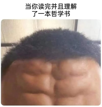 这是一张搞笑吐槽类梗图，图片顶部配有文字“当你读完并且理解了一本哲学书”，下方展示了一个人的额头区域，该额头的皮肤皱成了很深的纹路，看起来像是经过了长时间的深度思考、脑力高度消耗后的状态。这张图用夸张的面部细节，调侃了哲学书籍通常内容晦涩难懂，阅读并理解的过程需要耗费大量的精力，会让人陷入极度的纠结与深思，最终呈现出这种疲惫又凝重的状态，十分形象地戳中了很多人阅读深奥书籍时的痛点。
