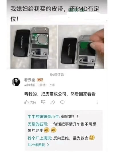 这是一张社交媒体截图，内容分为两部分：上方是用户发布的吐槽内容，配文“我媳妇给我买的皮带，还TMD有定位！”，并附带左右两张对比图，展示了打开后的皮带扣内部的电路板结构；下方是评论区互动，用户“看云坐”发布评论“听我的，把皮带放公司，然后回家看看”，该评论获得734个赞，另有其他用户在这条评论下回复玩梗，分别调侃“偷家啦！！”“一句话把事情升华到不可想象的地步”“反向思维，最为致命”，用搞笑的方式暗示这个操作可能会发现“被偷家”的反转，整体内容充满家庭趣味与玩梗的搞笑氛围。