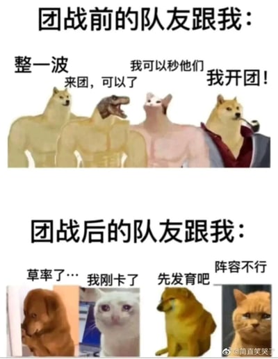 这张图片采用上下对比的构图，是针对多人竞技游戏团战场景创作的搞笑表情包。上半部分标题为“团战前的队友跟我：”，搭配四个肌肉发达的拟人化动物形象，分别是Doge肌肉版、恐龙头肌肉版、mur猫肌肉版、Doge西装版，对应的配文“整一波”“来团，可以了”“我可以秒他们”“我开团！”，生动展现出团战发起前队友们自信满满、斗志昂扬，迫不及待要发起进攻的状态；下半部分标题为“团战后的队友跟我：”，搭配四个神态沮丧的动物形象，分别是愧疚低头的狗、含泪的mur猫、哭泣的Doge、无语的橘猫，对应的配文“草率了…”“我刚卡了”“先发育吧”“阵容不行”，精准还原了团战失利后队友们找借口、垂头丧气的模样，通过强烈的前后反差，调侃了多人游戏中常见的队友“战前吹牛皮，战后找理由”的搞笑现象。