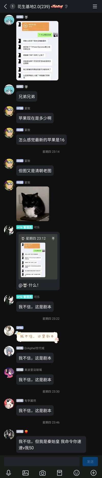 这是一张来自名为“花生基地2.0(239)”的QQ群聊截图，群内一名使用初音未来头像的LV51用户，先发了一张伪造的微信聊天记录截图，内容显示一人向另一人转账8000元，称这笔钱是从对方前女友那里套取的，还提到对方前女友会给一台iPhone16promax，晚上送过去，随后该用户在群内喊“兄弟兄弟”；接着LV22的宴敖（头像为《火影忍者》波风水门）提出质疑，疑惑当前最新苹果型号与图中内容的违和感，还发送了一张表情严肃的黑白猫咪图片；之后管理员可乐和多名群友纷纷复读“我不信，这是剧本”，最后一名群友玩起“秦始皇V我50”的经典网络梗，称“我不信，但我是秦始皇 我命令你速速V我50”。整段群聊围绕虚假段子展开玩梗互动，iPhone16promax是虚构的未发布型号，用来凸显聊天记录的虚假性，群友们的反应充满了搞笑的网络玩梗氛围，是年轻人兴趣群内常见的娱乐互动场景。