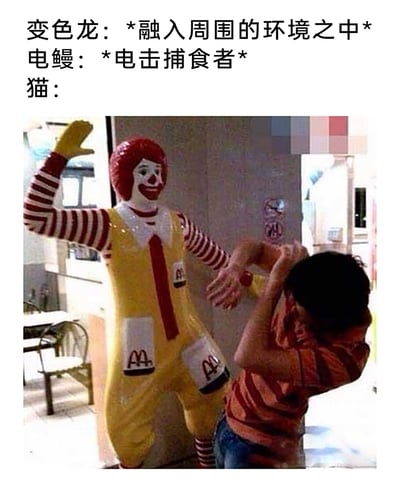 这是一张结合动物习性梗和视觉错位效果的搞笑图片，上方文字依次介绍了变色龙融入环境、电鳗电击捕食者的标志性生存技能，最后用实拍图对应猫的捕猎行为：在麦当劳餐厅内，麦当劳叔叔雕像的手部与小男孩的手臂、头部位置巧合重叠，形成了雕像“锁喉”抓住小男孩的视觉错觉，精准对应了猫捕猎时锁喉控制猎物的典型习性，通过这种反差感和视觉错觉制造出幽默搞笑的效果。