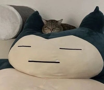 这是一张原始拍摄的静态单图，画面中一只虎斑猫咪闭着双眼，神态慵懒地趴在任天堂宝可梦系列角色卡比兽的大型毛绒玩偶头顶睡觉。猫咪的睡眠神态和卡比兽玩偶本身双眼闭合的慵懒表情高度契合，营造出一种治愈又有趣的氛围，仿佛猫咪化身为了卡比兽，图中没有双关、谐音梗等特殊内容。