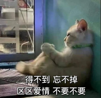 图片中是一只浅色毛发的猫咪，戴着绿色项圈，正背靠着浅蓝色墙壁坐在窗边。它双爪交叉放在胸前，扭头望向窗外，神情带着一丝忧郁和沉思。图片底部配有文字“得不到 忘不掉 区区爱情 不要不要”，以幽默的方式表达了对爱情的矛盾心态——虽然无法得到也难以忘怀，却故作洒脱地表示“不要”。整体画面温馨又带点小情绪，适合用于表达对感情的调侃或自嘲。