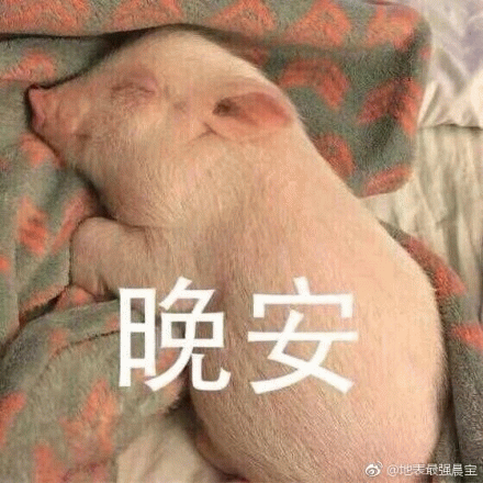 裹着毯子睡觉的小猪晚安图