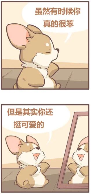 这是一张两格连环卡通图，主角是一只棕色与白色相间的可爱柯基。上半格中，柯基坐在地上，闭着眼睛，一只前爪抬起，旁边对话框写着“虽然有时候你真的很笨”，表情看起来有些无奈又像是在自我反思。下半格中，柯基正对着一面镜子，镜子里映出它的笑脸，它张开嘴巴露出开心的表情，对话框内容变为“但是其实你还挺可爱的”，整体画面温馨治愈，通过柯基对镜子自我对话的形式，传递出一种自我接纳与肯定的积极情绪。