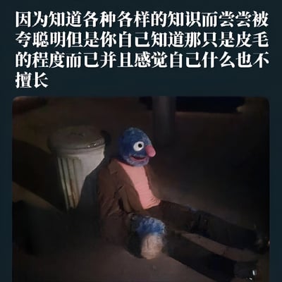 图片上方为白色文字：'因为知道各种各样的知识而尝尝被夸聪明但是你自己知道那只是皮毛的程度而已并且感觉自己什么也不擅长'，下方是一个蓝色大鼻子木偶，穿着棕色外套和粉色内搭，靠墙坐在垃圾桶旁，环境昏暗，木偶表情沮丧，整体传达出一种虽被称赞但内心充满自我怀疑的情绪。