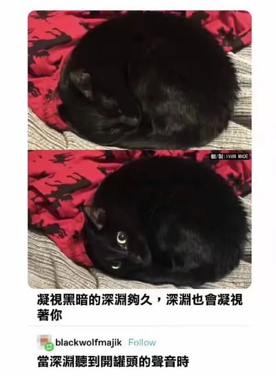 图片为上下对比的双 panel 结构，展示同一只黑猫的两种状态。上半部分中，纯黑色猫咪蜷缩在红黑花纹的毯子上，双眼紧闭，呈现出慵懒困倦的睡姿，毛发在光线下发亮；下半部分猫咪姿势不变，但突然睁大眼睛，瞳孔圆睁，眼神警觉专注，仿佛被惊醒。图片下方配有文字：'凝視黑暗的深淵夠久，深淵也會凝視著你'（化用尼采名言）和'當深淵聽到開罐頭的聲音時'，通过将猫咪比作'深渊'，用哲学名言与猫咪听到罐头声的本能反应形成反差萌，制造幽默效果。
