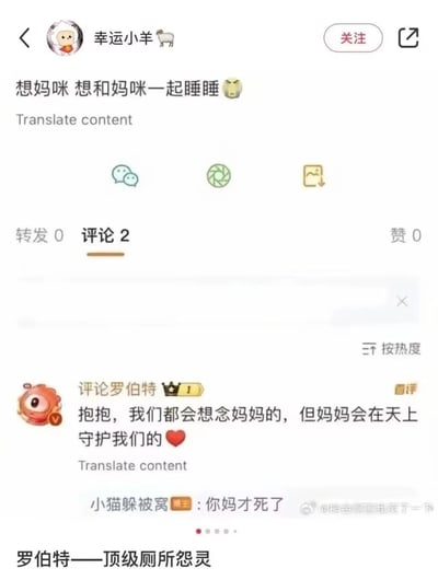 这是一张来自微博平台的竖屏截图，用户“幸运小羊”发布了一条表达想念妈妈、渴望和妈妈一起睡觉的动态，评论用户“评论罗伯特”错误理解为该用户的母亲已经离世，暖心安慰称妈妈会在天上守护大家，随后用户“小猫躲被窝”回怼“你妈才死了”，图片底部还配文“罗伯特——顶级厕所怨灵”，整体呈现了因误解产生的搞笑又尴尬的评论区场景。