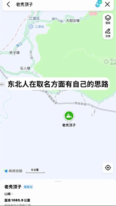 这是一张高德地图的截图，显示了吉林省白山市临江市的一处名为“老秃顶子”的山峰。地图上标注了周边的江源区、石人镇、浑江等地理信息，包括道路、乡镇和河流分布。画面中央有一条醒目的白色文字覆盖：“东北人在取名方面有自己的思路”，以此调侃东北地名直白又接地气的独特风格。图片通过真实地图场景与幽默文字的结合，生动展现了东北文化中不拘小节的命名特色，引发网友对地域命名文化的趣味讨论。