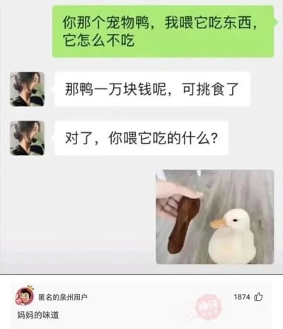 这是一张包含聊天记录、实拍图片和热门评论的社交媒体截图，整体内容充满荒诞搞笑的趣味。聊天记录中，一位用户向宠物鸭的主人反馈喂鸭子吃东西但鸭子不吃，主人表示这只价值一万元的宠物鸭很挑食，并询问喂了什么，随后对方发送了一张图片，图中一只手拿着鸭掌喂向一只白色的宠物鸭。下方的热门评论“妈妈的味道”是玩梗，调侃让宠物鸭吃同类鸭掌，制造出反差感十足的搞笑效果，引发网友共鸣。
