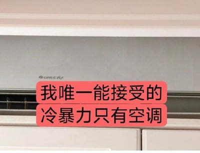 这是一张格力空调的实景照片，画面中突出暖色背景上的空调，并配以文字“我唯一能接受的冷暴力只有空调”。这句话巧妙运用了“冷暴力”的双关意义，既指家庭、爱情等关系里的冷漠对待，也直接指空调带来的冷气之力，幽默表达了对空调的极度依赖和喜爱。整个氛围轻松搞笑，很适合炎热夏天大家在网络上分享自嘲。