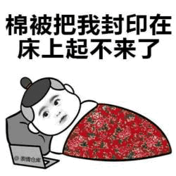 棉被封印术！我起不来了