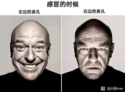 这是一张左右分栏的对比梗图，上方标题为“感冒的时候”，左侧标注“左边的鼻孔”，搭配一张男性满脸笑容、神情放松的面部图，用来拟人化表现通气鼻孔的“舒畅”状态；右侧标注“右边的鼻孔”，搭配同一位男性面色阴沉、神情紧绷的面部图，拟人化表现鼻塞鼻孔的“难受”状态。图片用夸张的表情对比，生动还原了感冒时常见的单侧鼻孔通气、另一侧堵塞的真实体验，贴近日常生活，极易引发有过类似经历的人的共鸣。