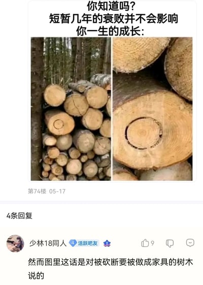 这是一张来自百度贴吧的社交媒体截图，属于图文混排的内容。内容分为上下两部分，上半部分是左右拼接的原木图片：左侧是从大到小堆叠的多根原木，右侧是其中一根大原木的截面特写，能看到原木中间有一段生长缓慢的年轮区域；搭配的励志文案为“你知道吗？短暂几年的衰败并不会影响你一生的成长：”，试图用树木的年轮变化类比人生，传达短暂低谷不影响整体成长的正向观点。下半部分是吧友“少林18同人”的评论，反向解构了这段励志内容，指出这些树木已经被砍断，即将被做成家具，所谓的“成长”已经失去后续可能，形成了反差感的搞笑效果，消解了原励志文案的正向意义。