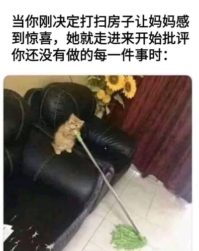 图片上方配有文字：“当你刚决定打扫房子让妈妈感到惊喜，她就走进来开始批评你还没有做的每一件事时：”。下方是一张照片，一只橘色小猫坐在黑色皮沙发上，嘴里叼着一把绿色拖把，拖把头部接触地面，似乎正在尝试打扫。背景中可见插有向日葵的花瓶和红色窗帘。整体通过猫咪努力打扫却可能面临“批评”的场景，幽默还原了年轻人想表现却被家长挑剔的无奈日常。